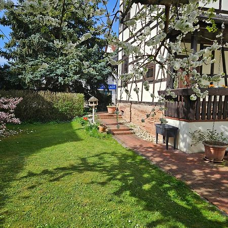 Apartments Am Saalebogen Mit Gartenterrasse, Grillkamin, Freie Parkplaetze Рудольштадт Экстерьер фото