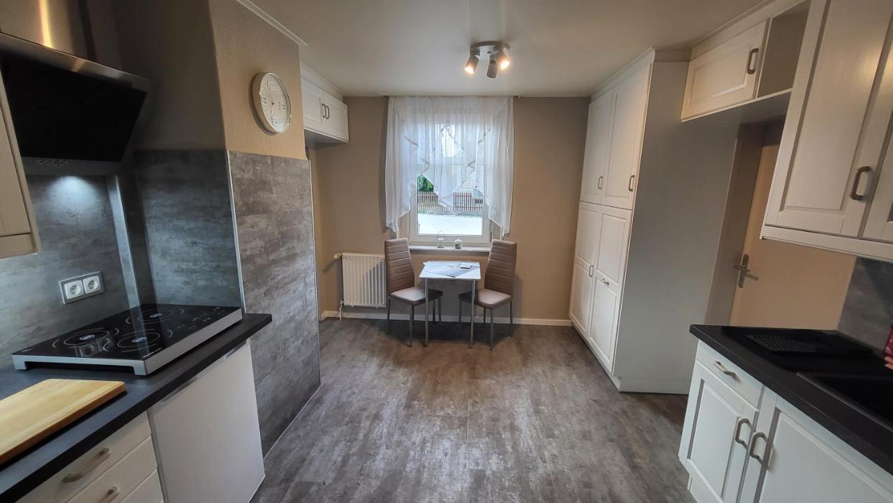 Apartments Am Saalebogen Mit Gartenterrasse, Grillkamin, Freie Parkplaetze Рудольштадт Экстерьер фото