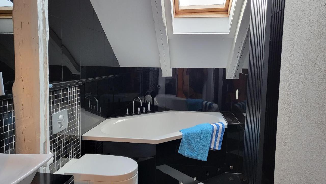 Apartments Am Saalebogen Mit Gartenterrasse, Grillkamin, Freie Parkplaetze Рудольштадт Экстерьер фото