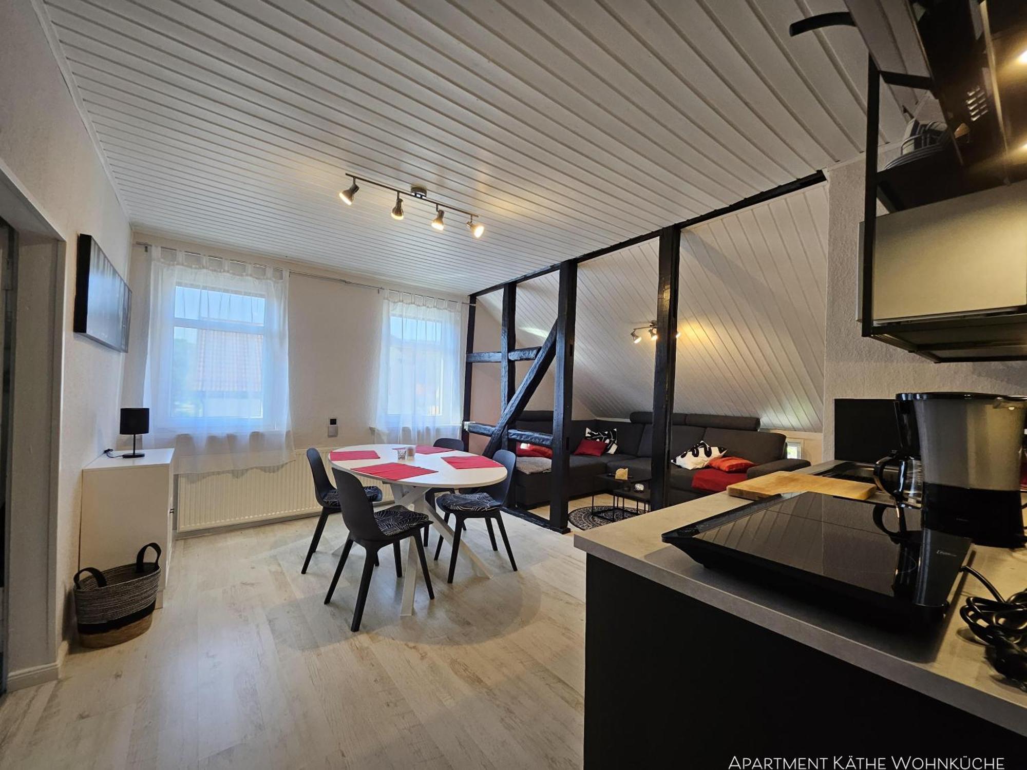Apartments Am Saalebogen Mit Gartenterrasse, Grillkamin, Freie Parkplaetze Рудольштадт Экстерьер фото