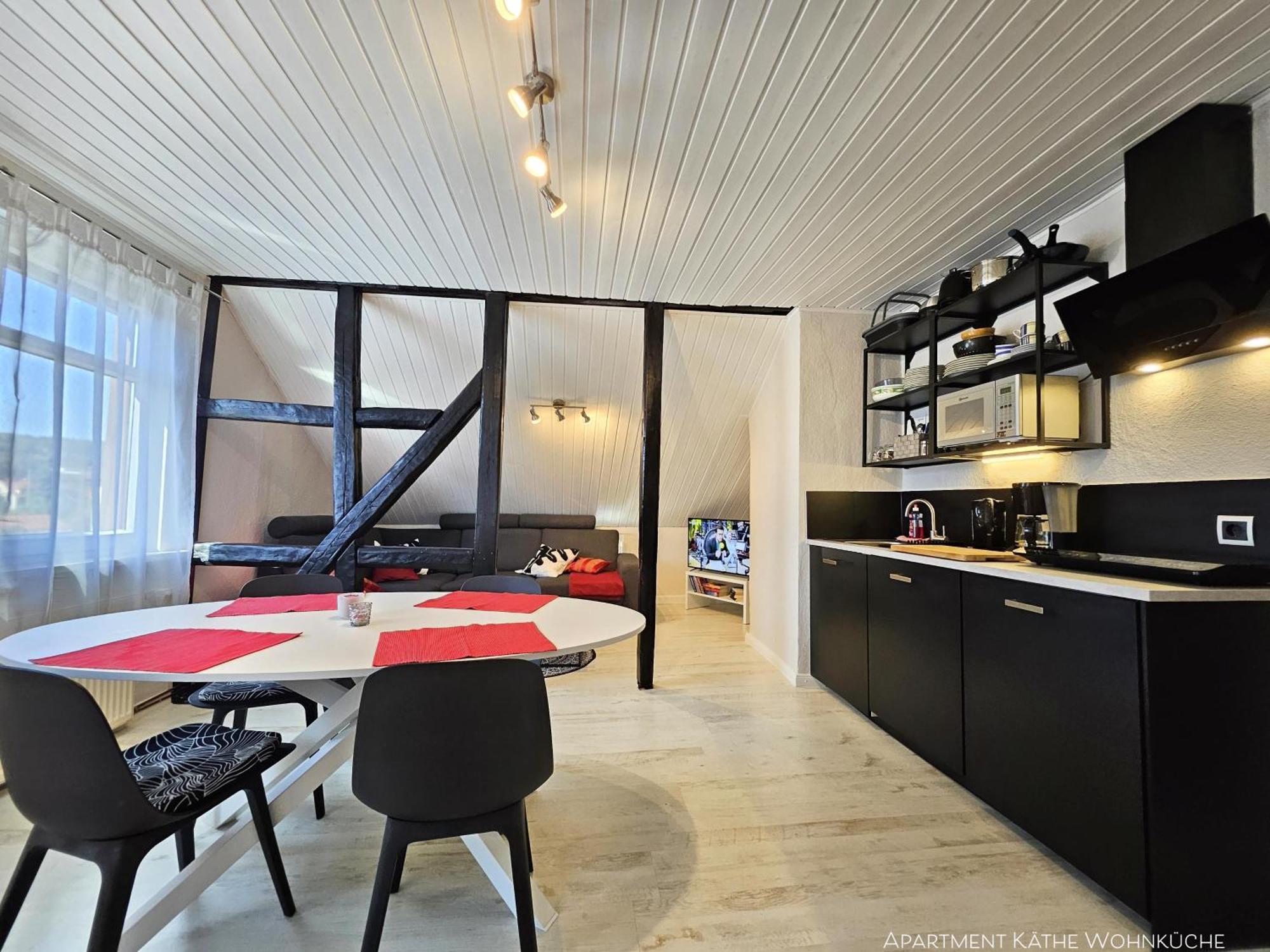 Apartments Am Saalebogen Mit Gartenterrasse, Grillkamin, Freie Parkplaetze Рудольштадт Экстерьер фото